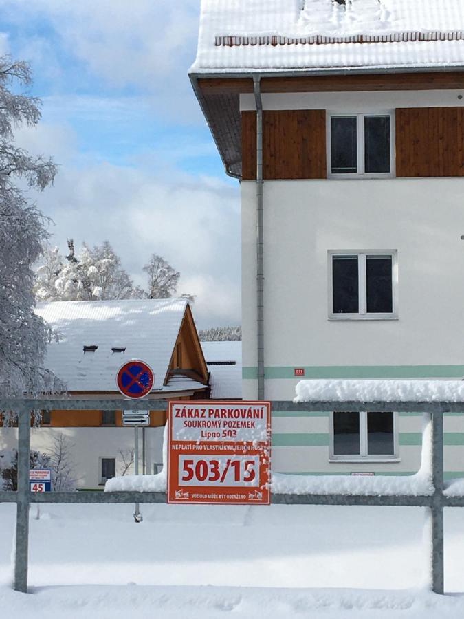 Apartment Riviera Lipno 503 - 15